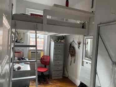 Nice sunny room