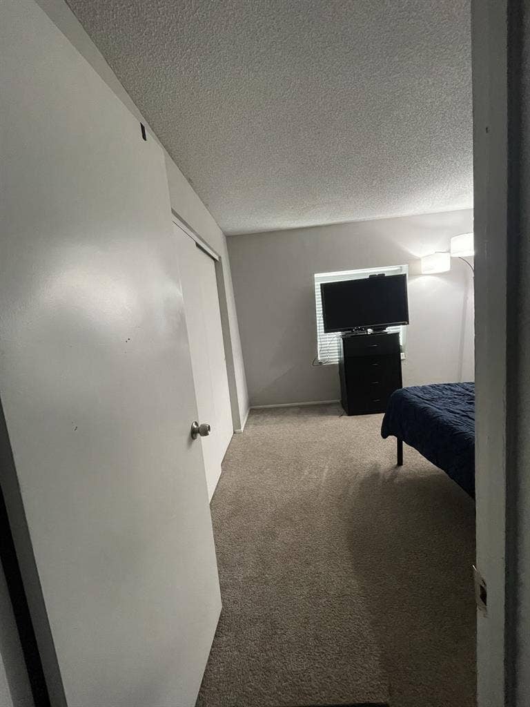 Looking for a roommate asap!