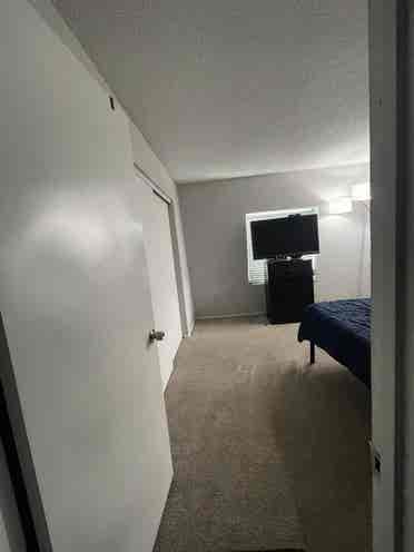 Looking for a roommate asap!