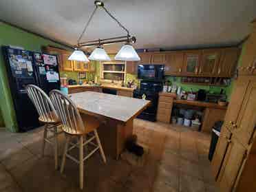 Seeking a Roommate