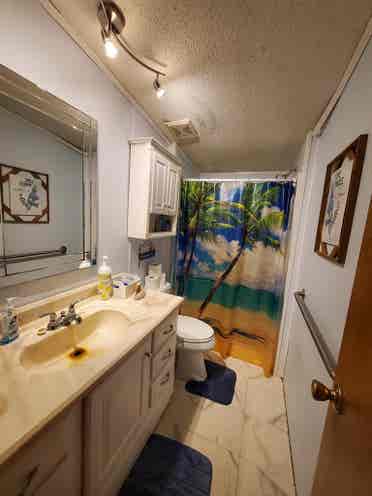 Seeking a Roommate
