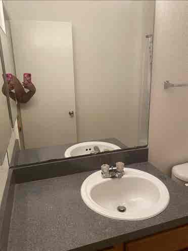 Need A Clean Loveable Roommate