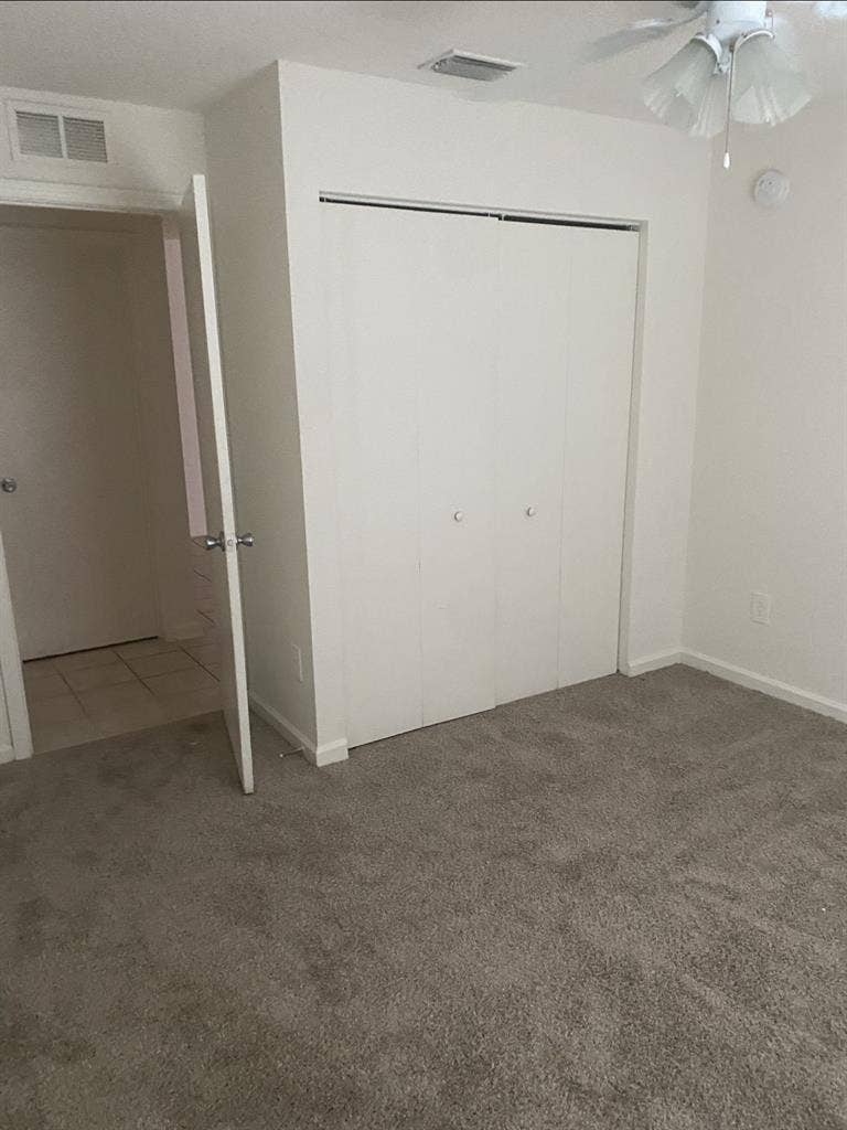 Need A Clean Loveable Roommate