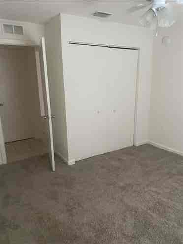 Need A Clean Loveable Roommate