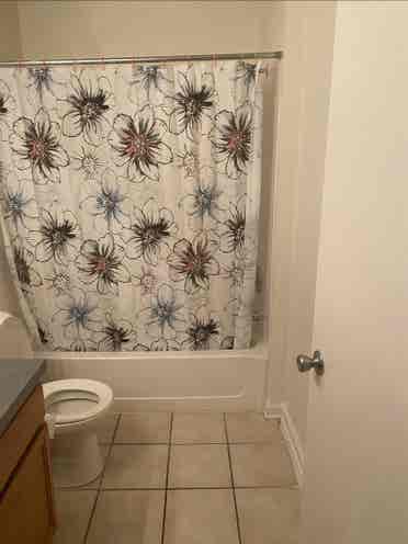 Need A Clean Loveable Roommate