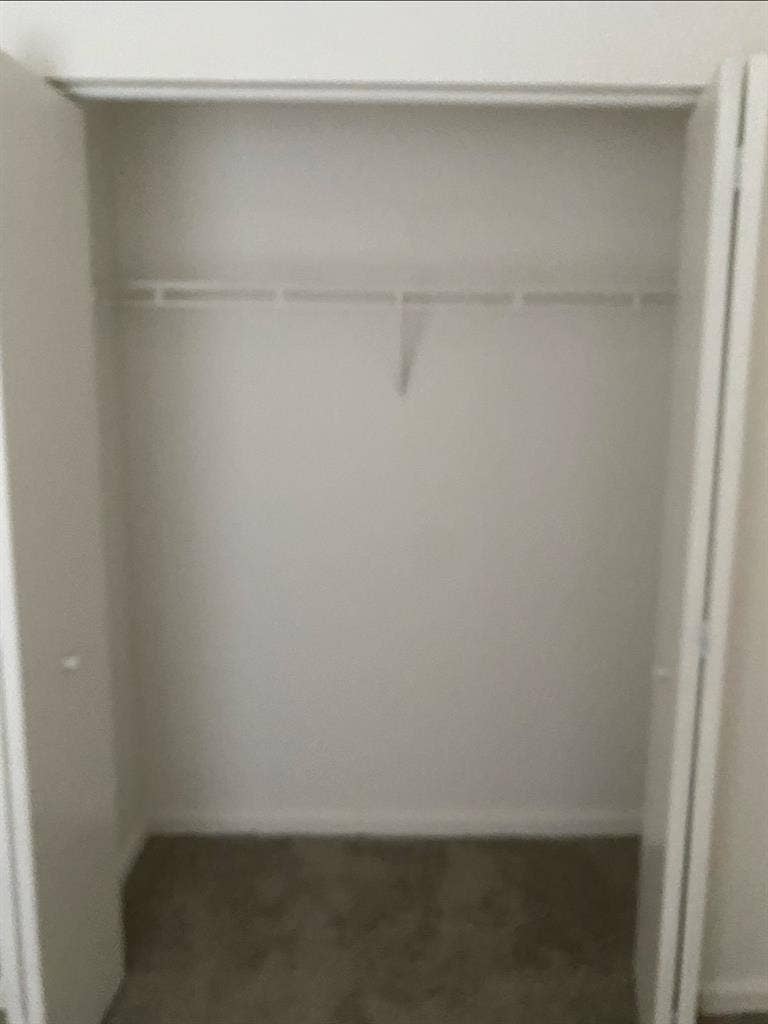 Need A Clean Loveable Roommate