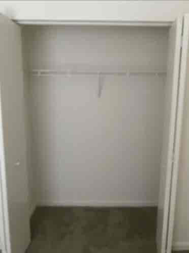 Need A Clean Loveable Roommate