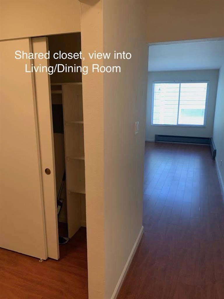 Shared Inner Sunset Apt