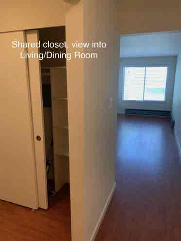 Shared Inner Sunset Apt