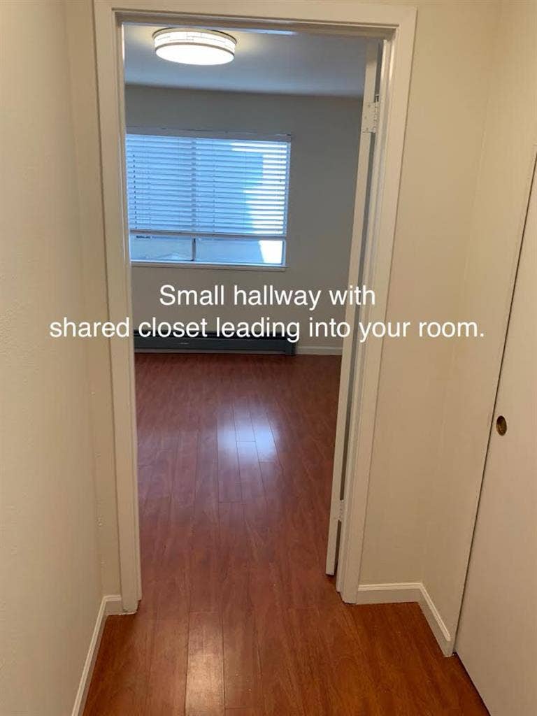 Shared Inner Sunset Apt