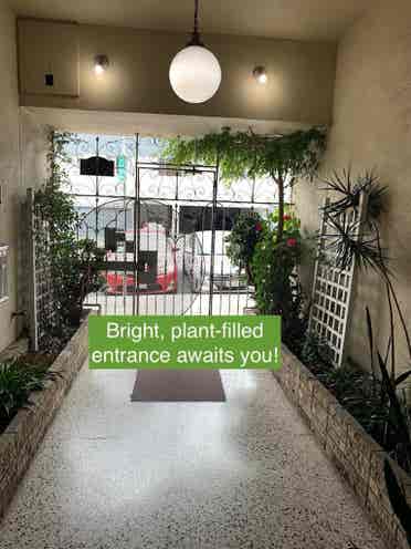 Shared Inner Sunset Apt