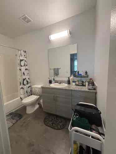 FSU Off Campus Housing