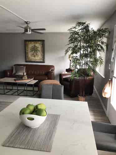 For Rent - + community