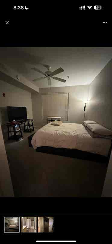 $ LARGE LUXURY ROOM W/IN CLOSET