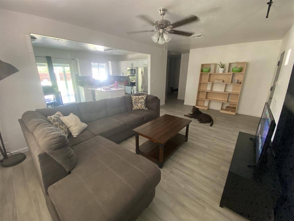 Female roommate wanted!