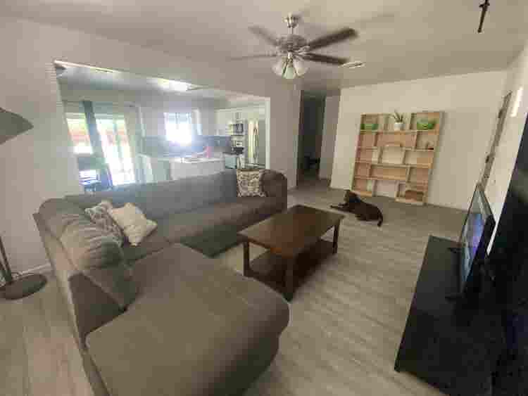 Female roommate wanted!