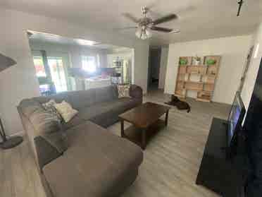 Female roommate wanted!