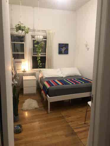 all inclusive in Stuyvesant H.