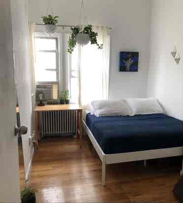 all inclusive in Stuyvesant H.