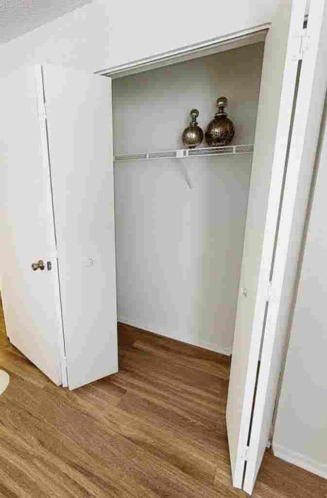 Roommate Needed
