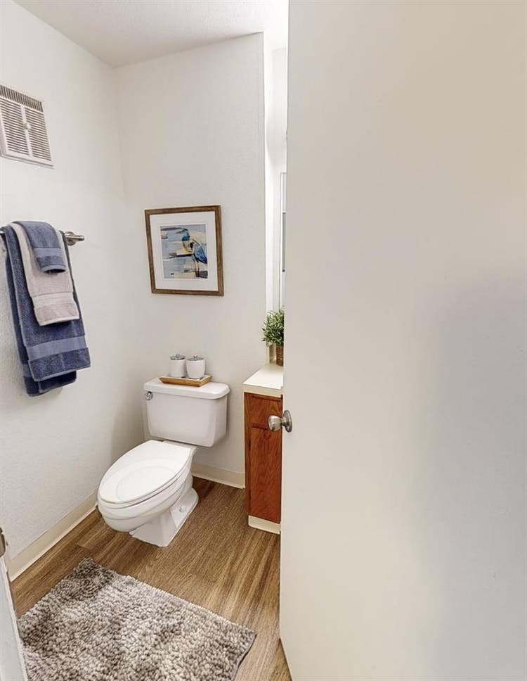Roommate Needed