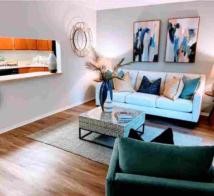 Roommate Needed