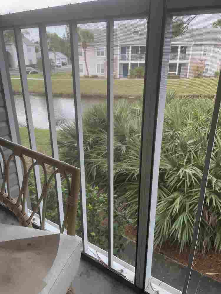 Roommate Needed