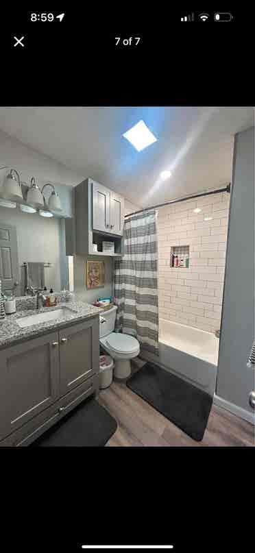 more girl roomate(s) Needed!