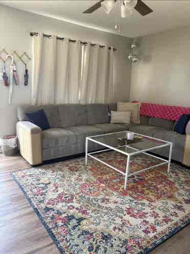 more girl roomate(s) Needed!