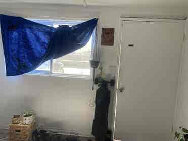 Room w/Private Entrance - Pets OK
