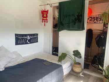 Room w/Private Entrance - Pets OK