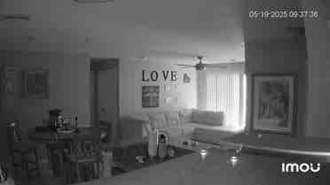 Female roommate needed