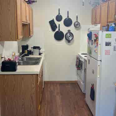 Marcy Holmes, September 1st move-in