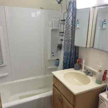 Marcy Holmes, September 1st move-in
