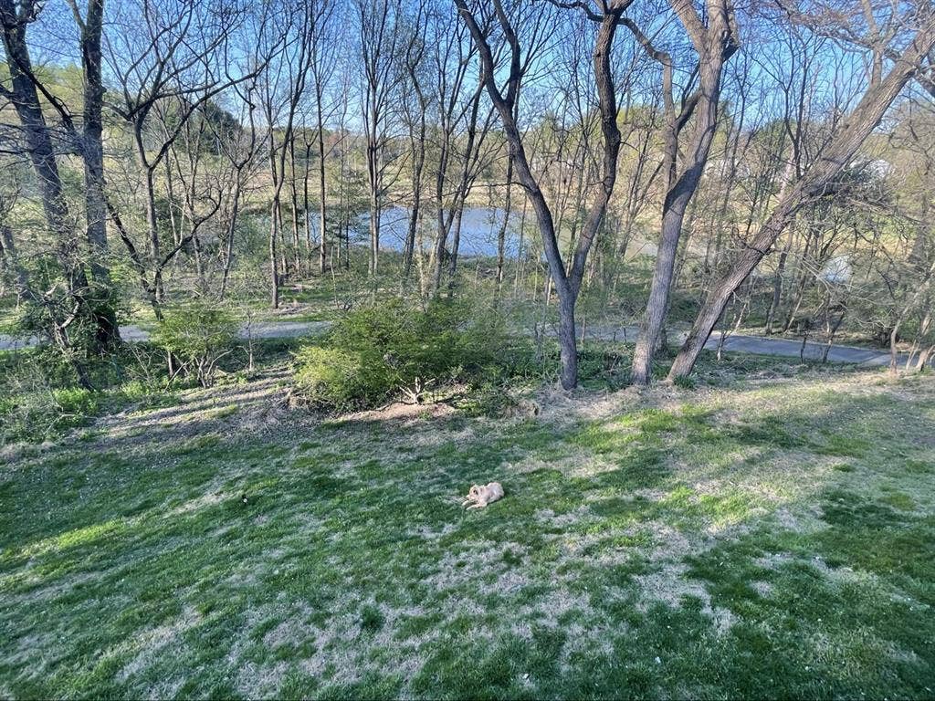 Lakeside room for rent
