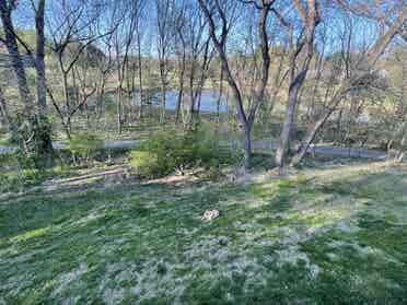 Lakeside room for rent