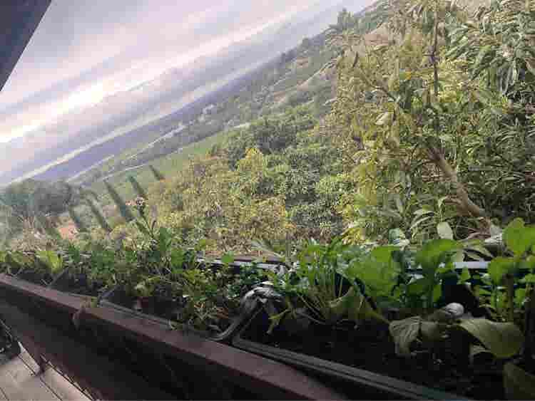 Forever views in Natural Sanctuary