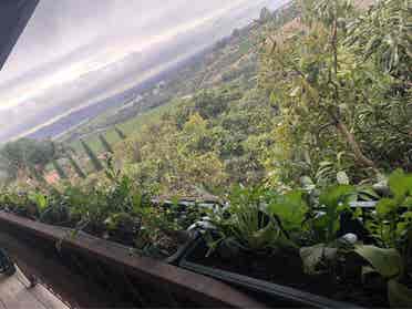 Forever views in Natural Sanctuary