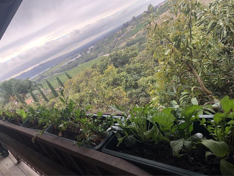 Forever views in Natural Sanctuary