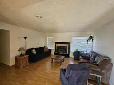 Room to Rent, Student/Young Adult