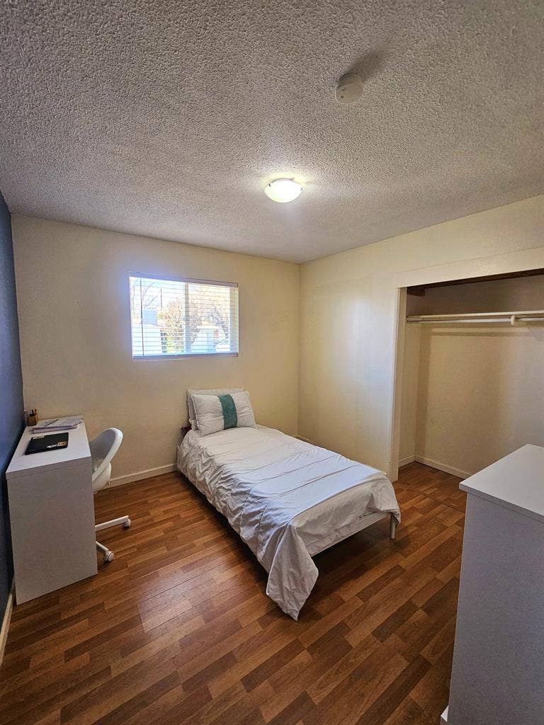 Room to Rent, Student/Young Adult
