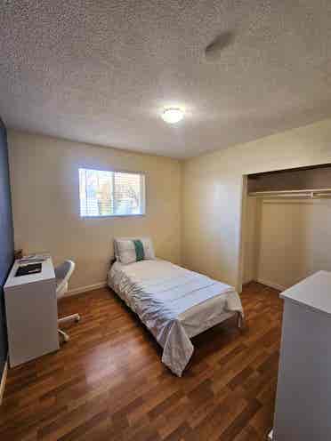 Room to Rent, Student/Young Adult