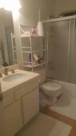 Room for Rent