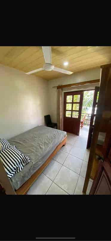 Room for rent in a shared apartment