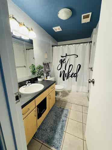 Cozy bright home in Downtown Denver