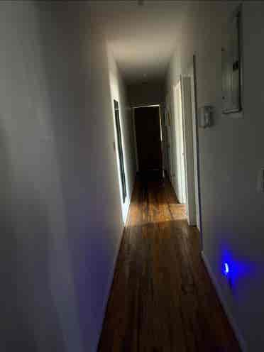Room for rent in spacious apartment