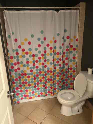 Room for rent in spacious apartment