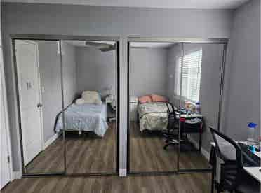 Looking for a roommate! (or 2)