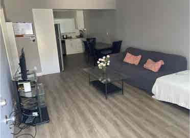 Looking for a roommate! (or 2)