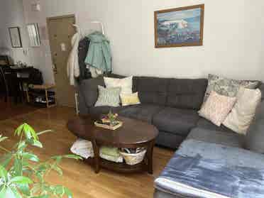 New Listing